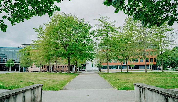 COMPLIQUÉ ! - Veggie jeudi au COMPLIQUÉ ! - Veggie jeudi au goût amer pour le lycée de Borda à Daxt amer pour le lycée de Borda à Dax